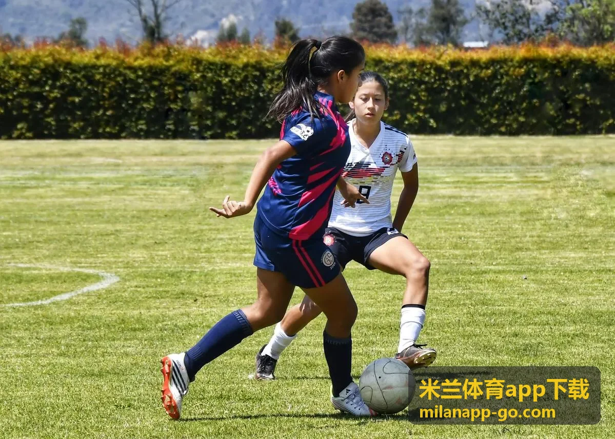 米兰体育app下载 数据面板